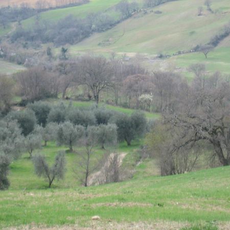 Agriturismo Casa Fibbianello Semproniano Dış mekan fotoğraf