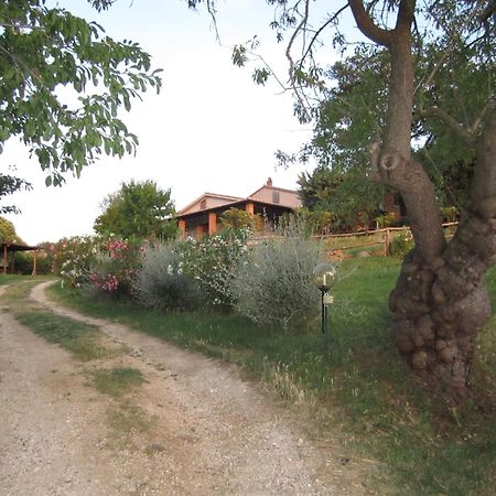 Agriturismo Casa Fibbianello Semproniano Dış mekan fotoğraf