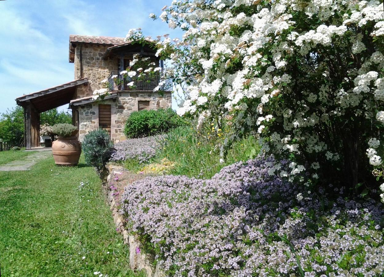 Agriturismo Casa Fibbianello Semproniano Dış mekan fotoğraf