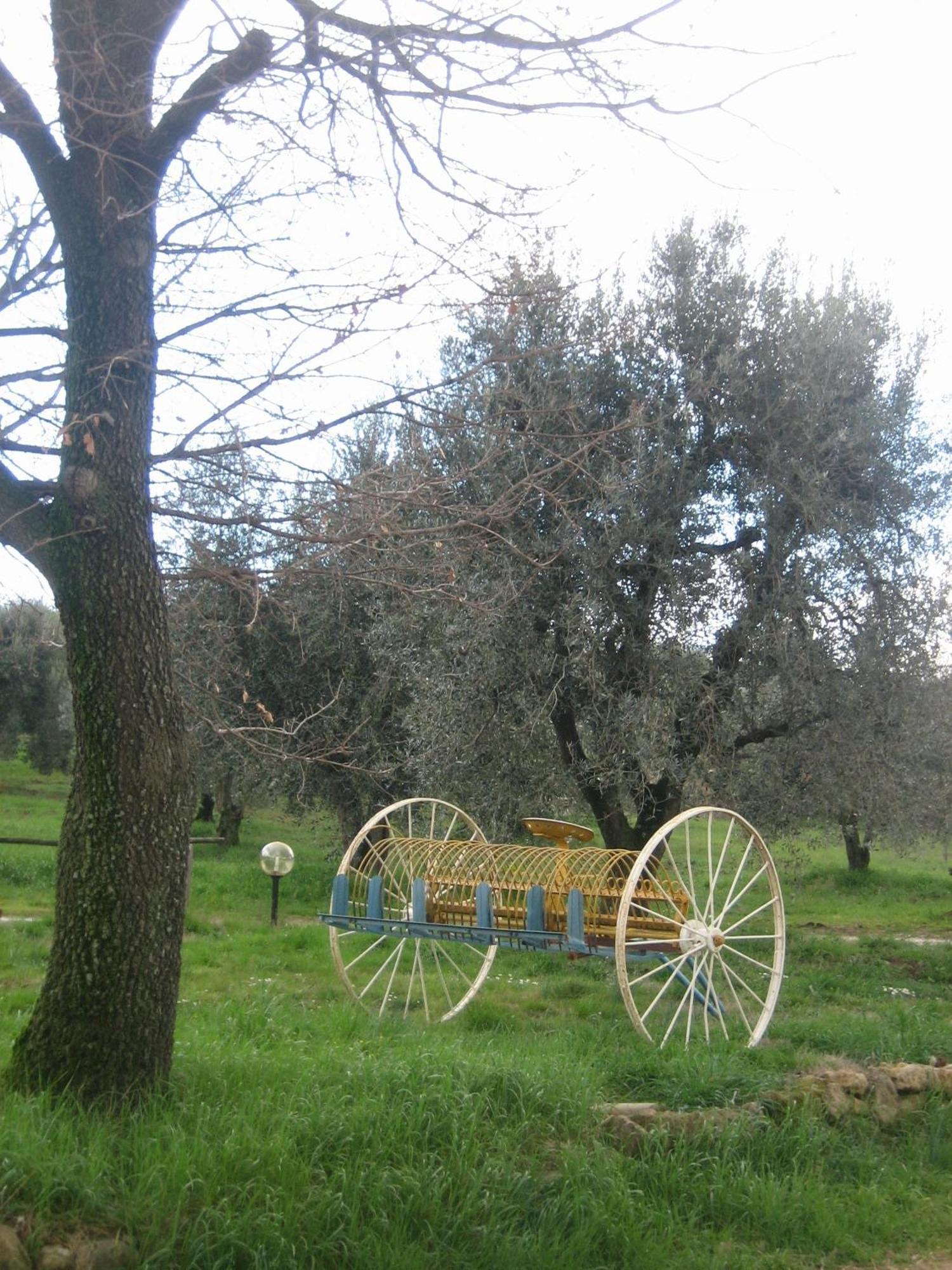 Agriturismo Casa Fibbianello Semproniano Dış mekan fotoğraf