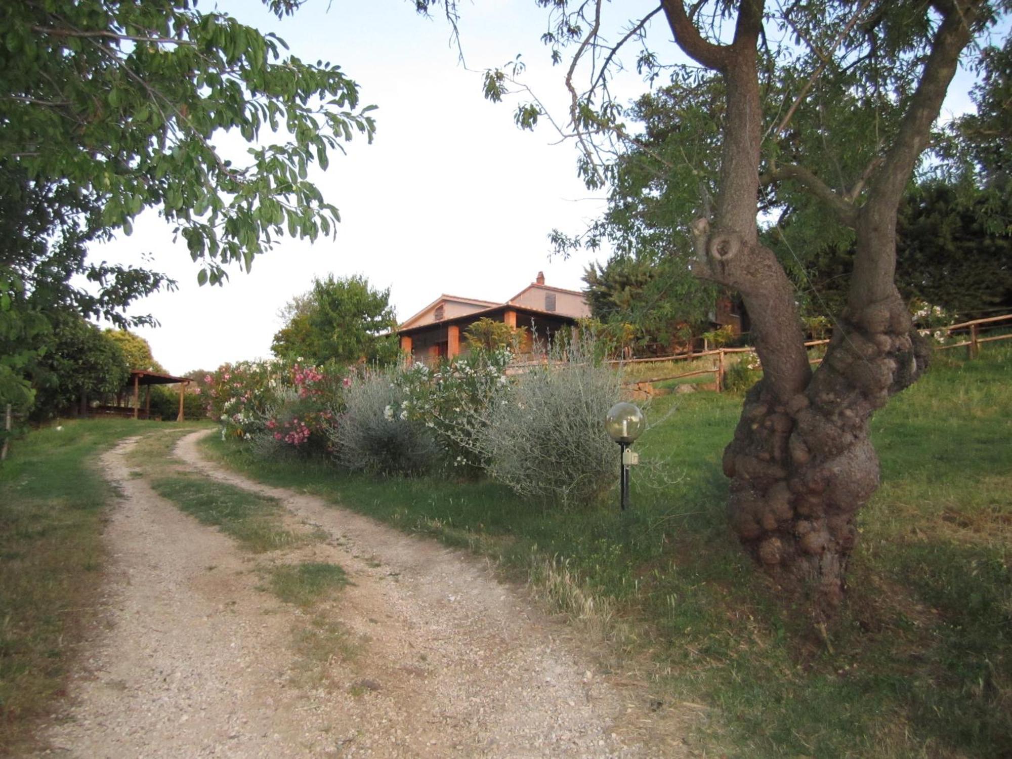 Agriturismo Casa Fibbianello Semproniano Dış mekan fotoğraf