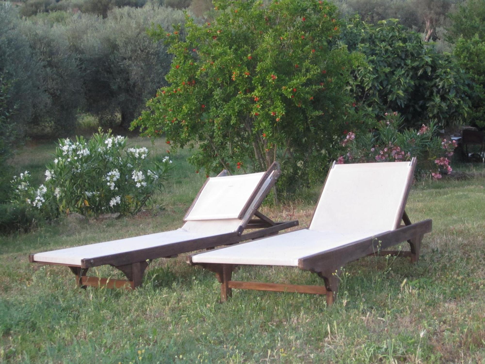 Agriturismo Casa Fibbianello Semproniano Dış mekan fotoğraf