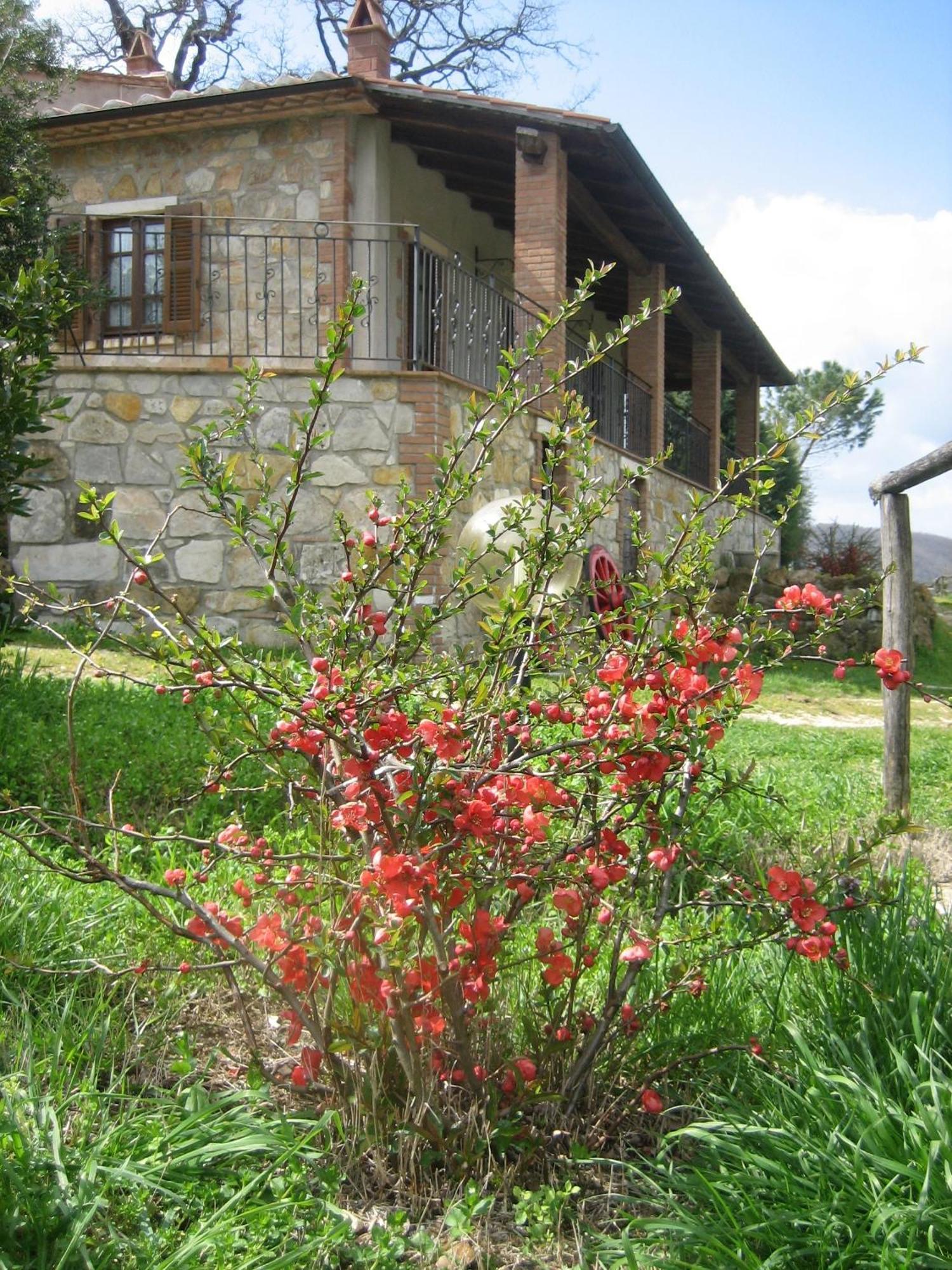 Agriturismo Casa Fibbianello Semproniano Dış mekan fotoğraf