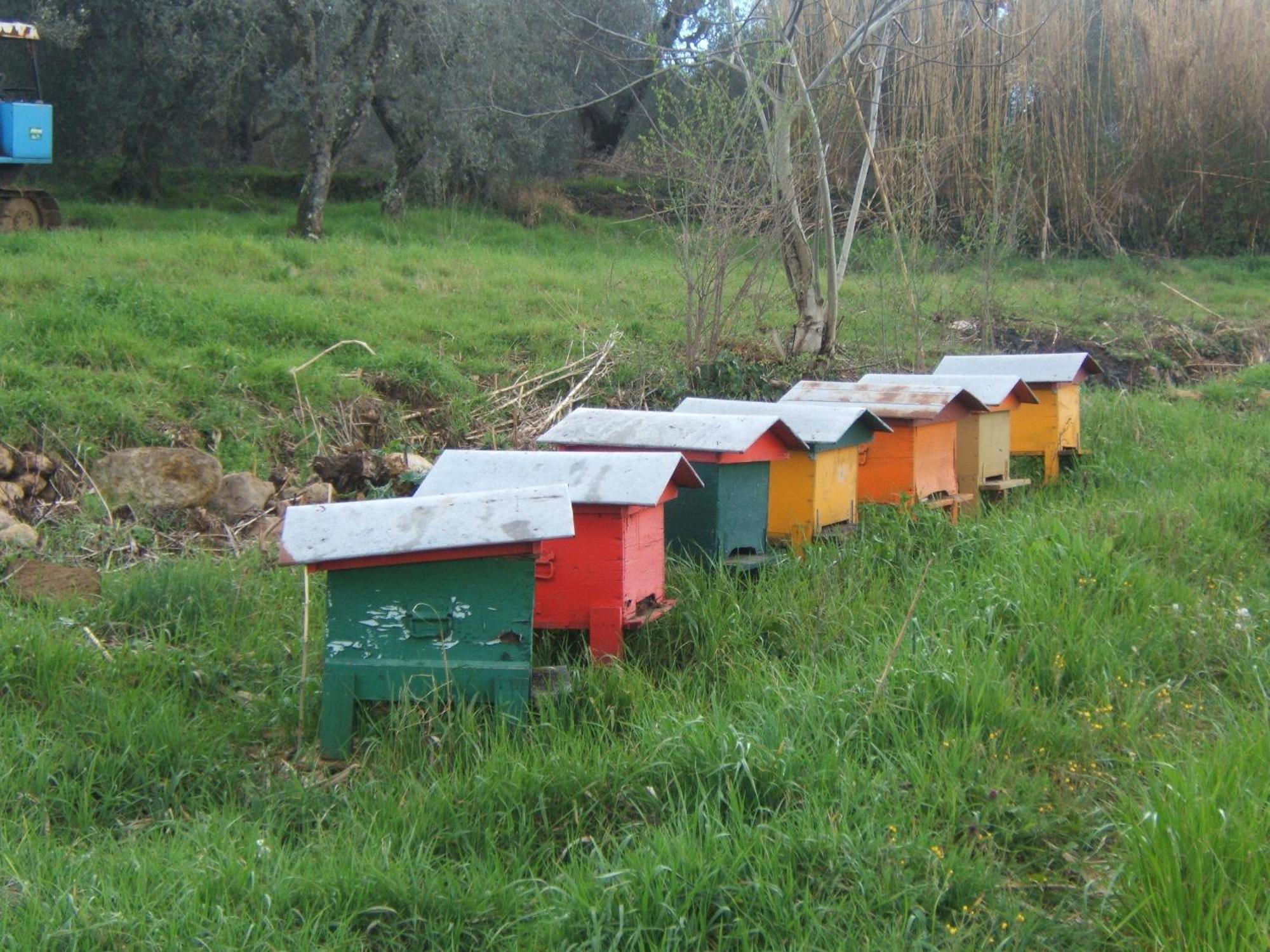 Agriturismo Casa Fibbianello Semproniano Dış mekan fotoğraf