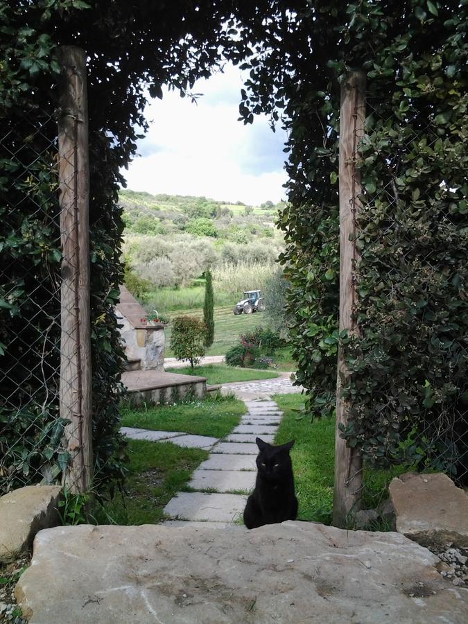 Agriturismo Casa Fibbianello Semproniano Dış mekan fotoğraf